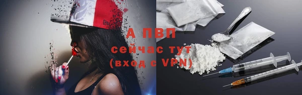 СК Вязьма