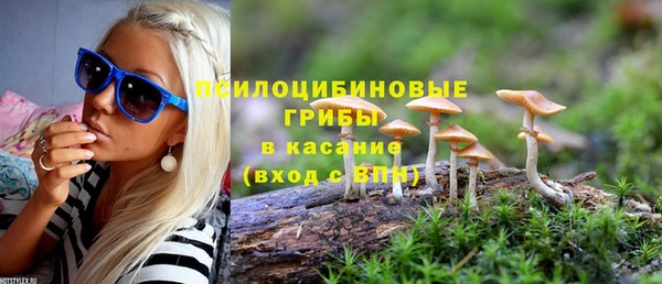 СК Вязьма