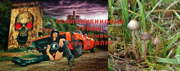 СК Вязьма